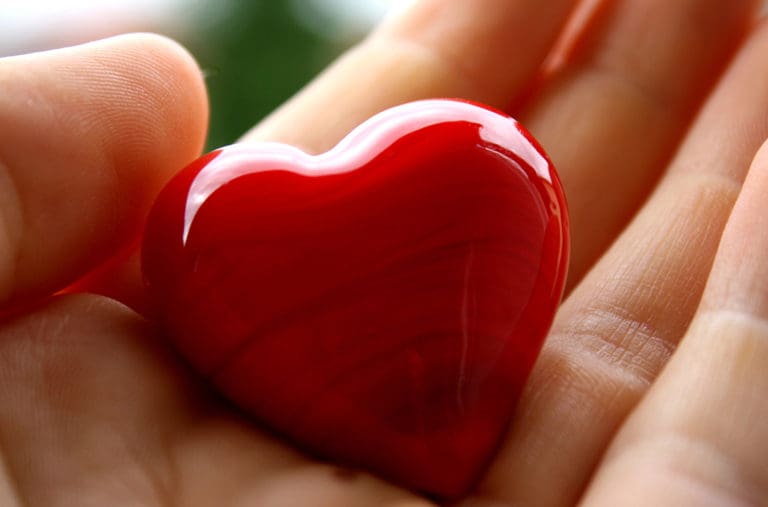 Southwest Transplant Alliance to host organ and tissue registration drive
