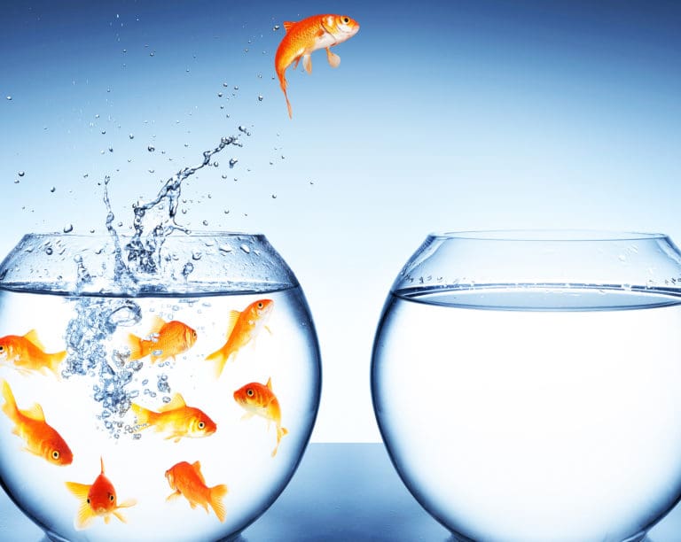 Volume to Value – DFWHC “Hot Topic” event set for July 21